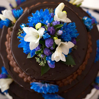 Everything but the Ring